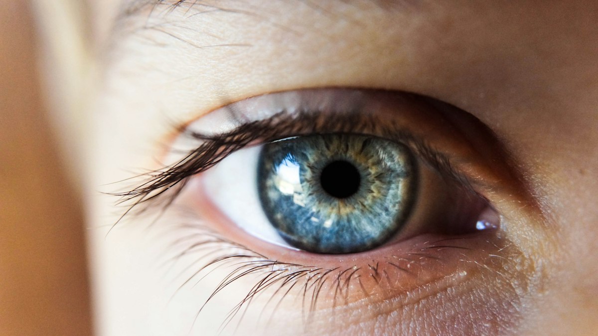 Colorful vegetables rich in eye nutrients