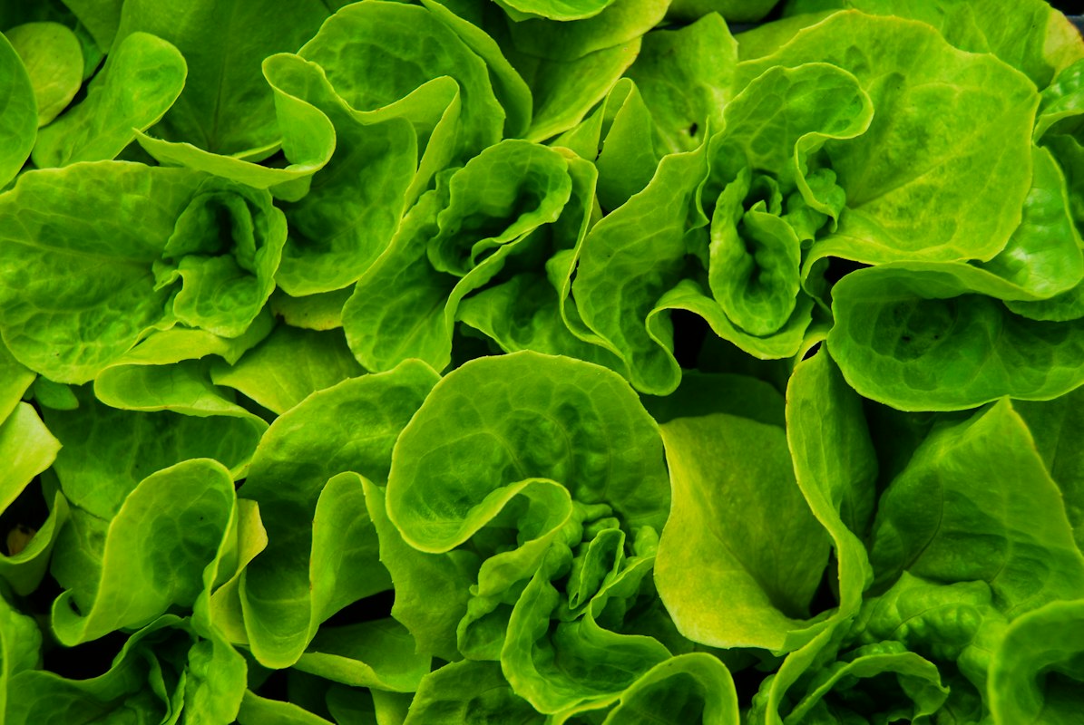 Research and editorial focus on eye nutrition